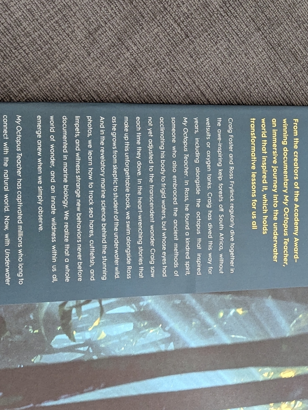 Underwater Wild Hardcover Book - Teal & Orange Cover - Picture 2 of 6